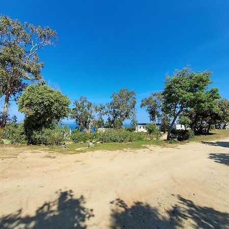 Calvi Mobil-Home Neuf Particulier Sur Camping Lumio  Exterior photo